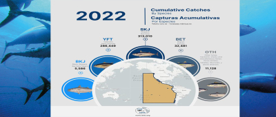 Cumulative Catches by Species 2022