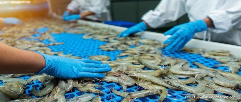 Vietnam: Aiming at $11 billion of seafood exports in 2025