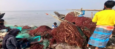 Bangladesh: Fishermen Set to Resume Hilsa Fishing as Ban Ends at Midnight