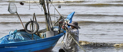 PLKS fee for foreign fishermen reduced to RM320 per person - DOF