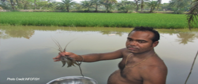 Bangladesh: 56% fish farms miss out on income for lack of aqua-agri combination, study finds