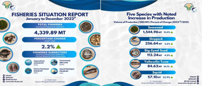 2022 Fisheries production volume up by 2.2%