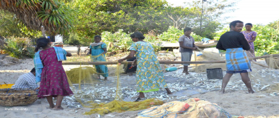 ‘Chinese investment’ in sea cucumber farm sparks concerns among northern Sri Lankan fishermen