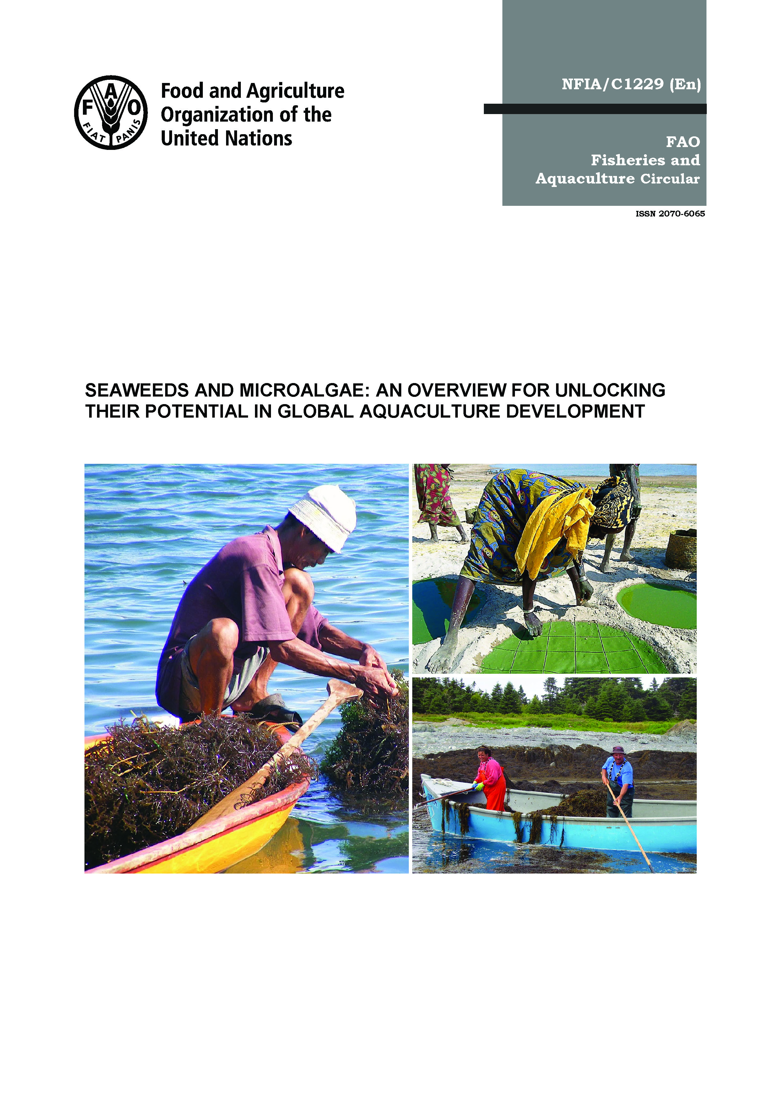 Seaweeds and microalgae